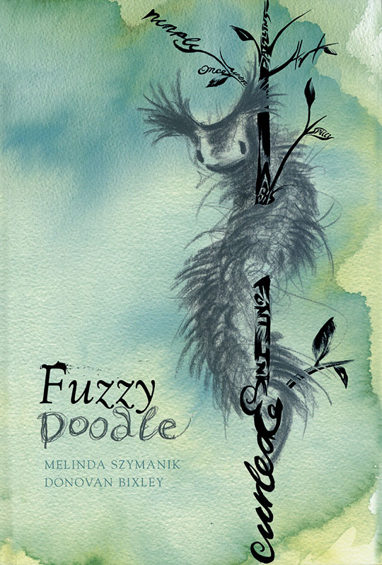 Cover art for Fuzzy doodle