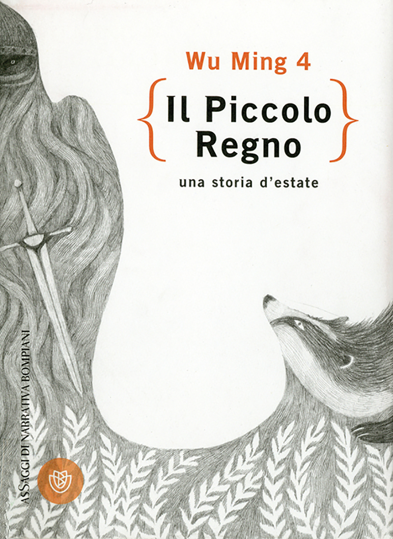 Cover art for Il piccolo regno