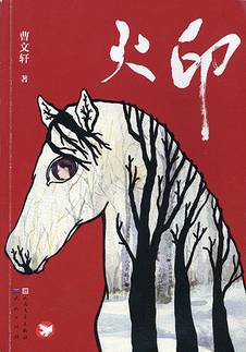Cover art for Huo yin